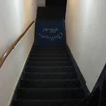 بلينغتون * أمستردام
