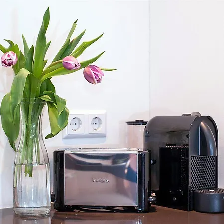 Bellington * Amesterdão